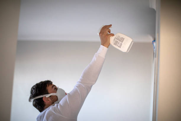 Best Fast Mold Removal  in Macclenny, FL