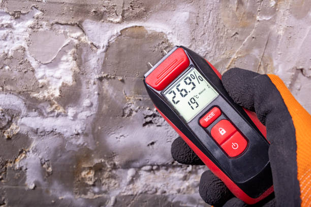 Best Mold Cleaning Services  in Macclenny, FL
