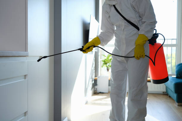 Best Home Mold Removal  in Macclenny, FL